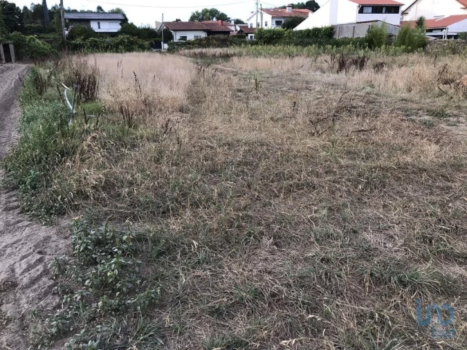 Terreno para Venda em Ovar, São João, Arada e São Vicente de Pereira Jusã Foto 8