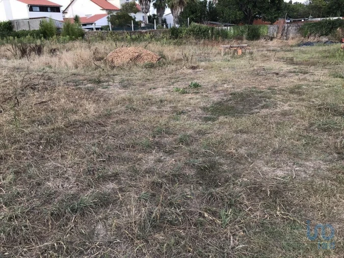 Terreno para Venda em Ovar, São João, Arada e São Vicente de Pereira Jusã Foto 6