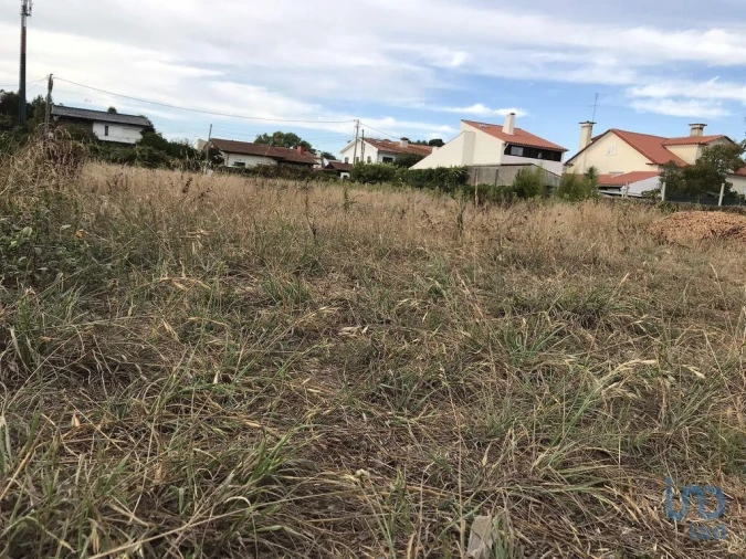 Terreno para Venda em Ovar, São João, Arada e São Vicente de Pereira Jusã Foto 5