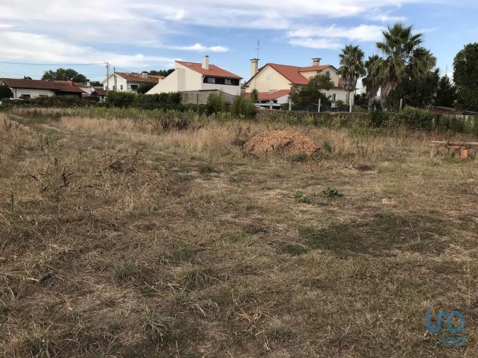 Terreno para Venda em Ovar, São João, Arada e São Vicente de Pereira Jusã Foto 7
