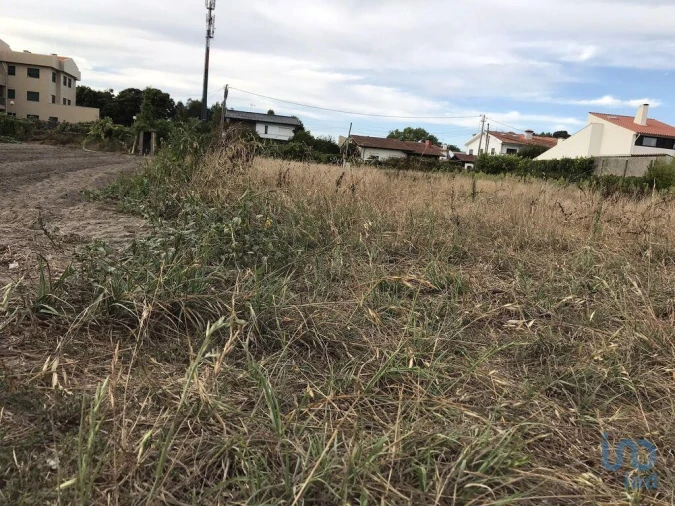 Terreno para Venda em Ovar, São João, Arada e São Vicente de Pereira Jusã Foto 14