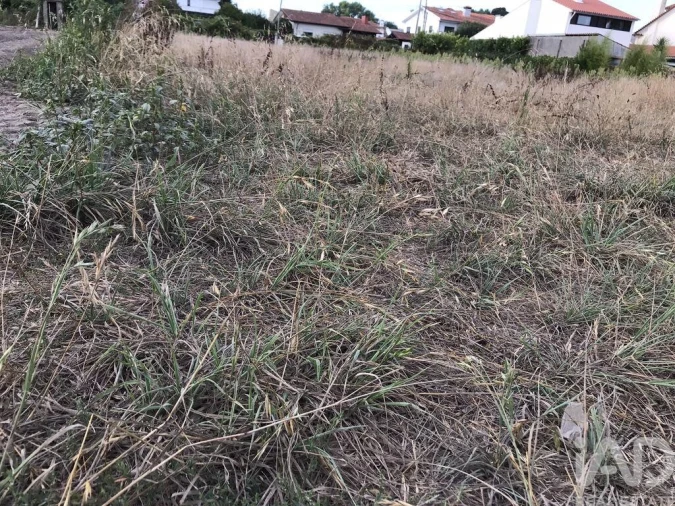 Terreno para Venda em Ovar, São João, Arada e São Vicente de Pereira Jusã Foto 18