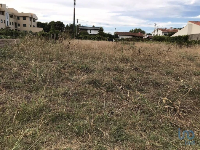 Terreno para Venda em Ovar, São João, Arada e São Vicente de Pereira Jusã Foto 10