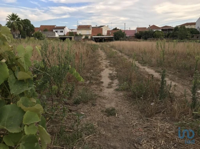 Terreno para Venda em Ovar, São João, Arada e São Vicente de Pereira Jusã Foto 4