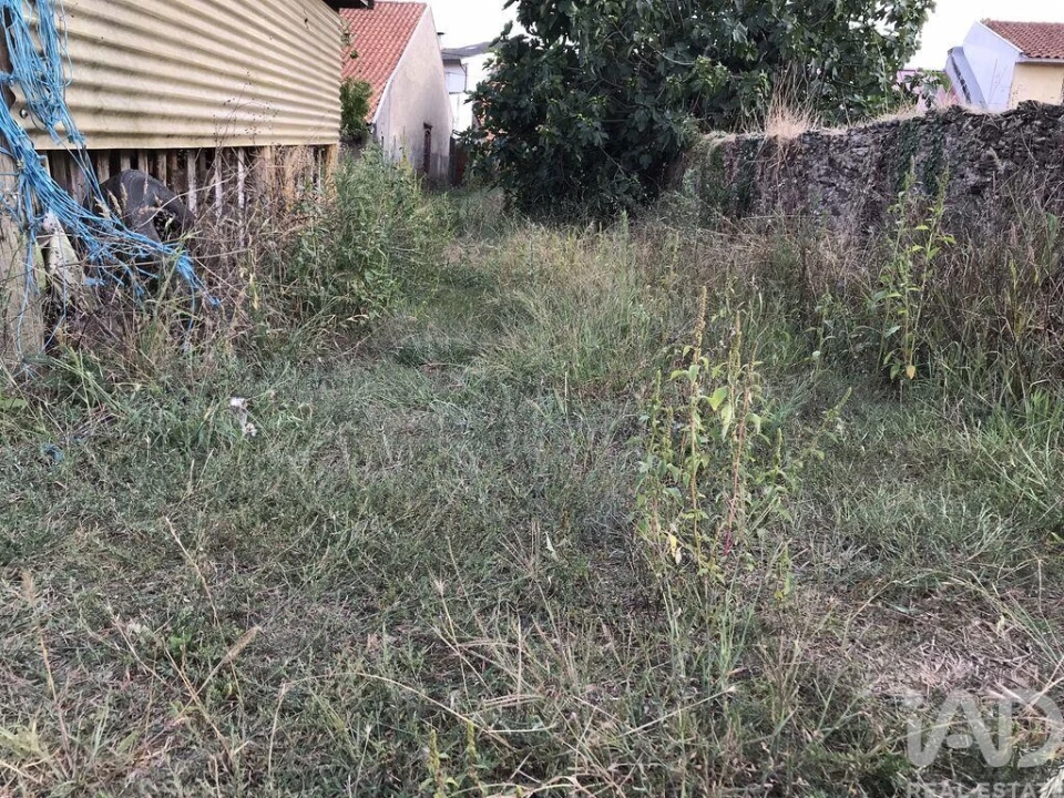 Terreno para Venda em Ovar, São João, Arada e São Vicente de Pereira Jusã Foto 17
