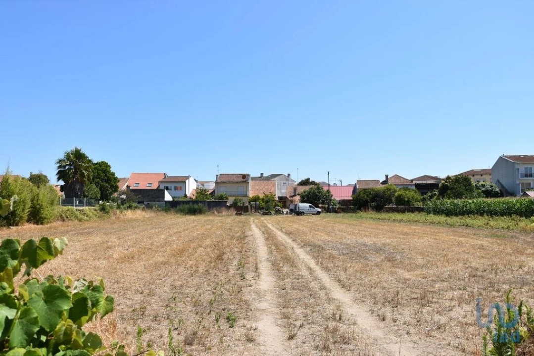 Terreno para Venda em Ovar, São João, Arada e São Vicente de Pereira Jusã Foto 2