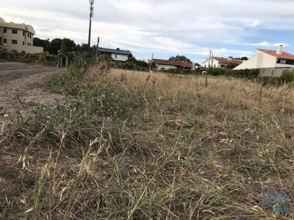 Terreno para Venda em Ovar, São João, Arada e São Vicente de Pereira Jusã Foto 14