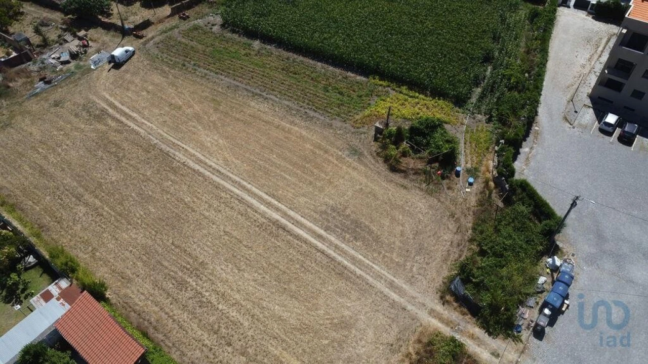 Terreno para Venda em Ovar, São João, Arada e São Vicente de Pereira Jusã Foto 3