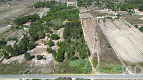 Terreno para Venda em Benavente