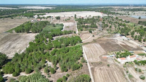 Terreno para Venda em Benavente