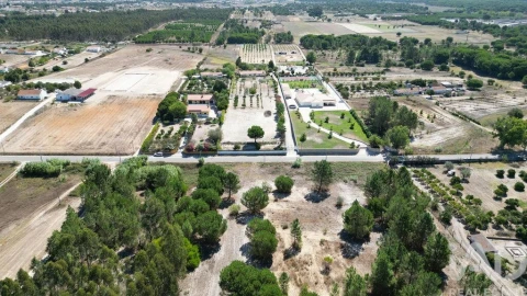 Terreno para Venda em Benavente