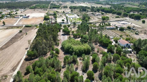 Terreno para Venda em Benavente