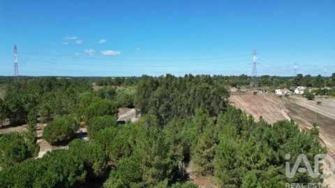 Terreno para Venda em Benavente