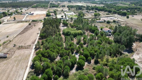 Terreno para Venda em Benavente