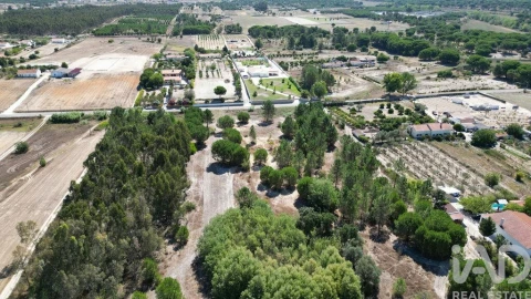 Terreno para Venda em Benavente