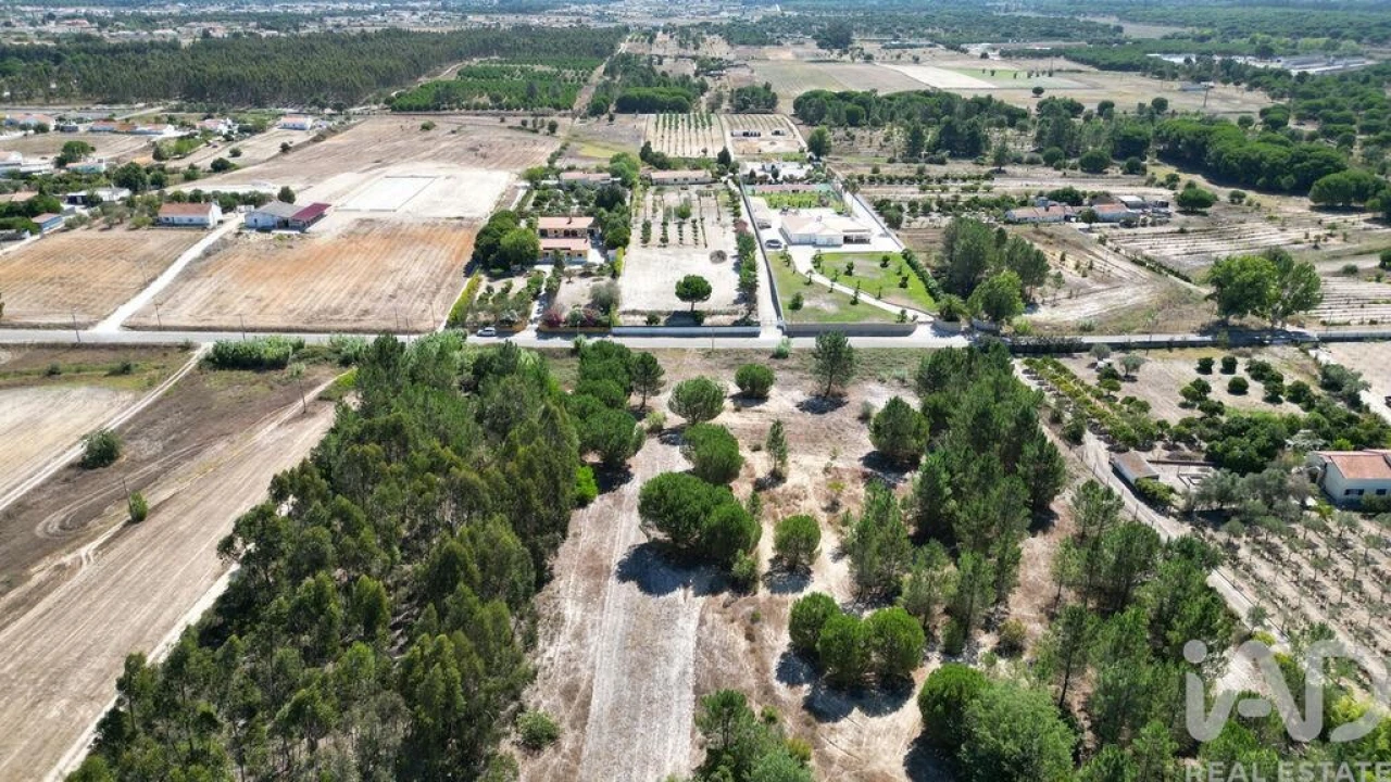 Terreno para Venda em Benavente Foto 8