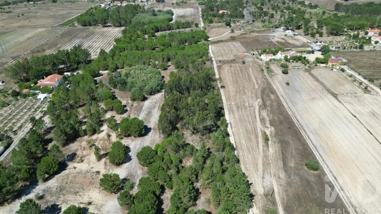 Terreno para Venda em Benavente Foto 18