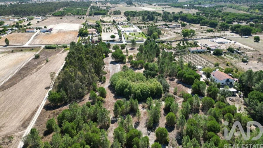 Terreno para Venda em Benavente Foto 3