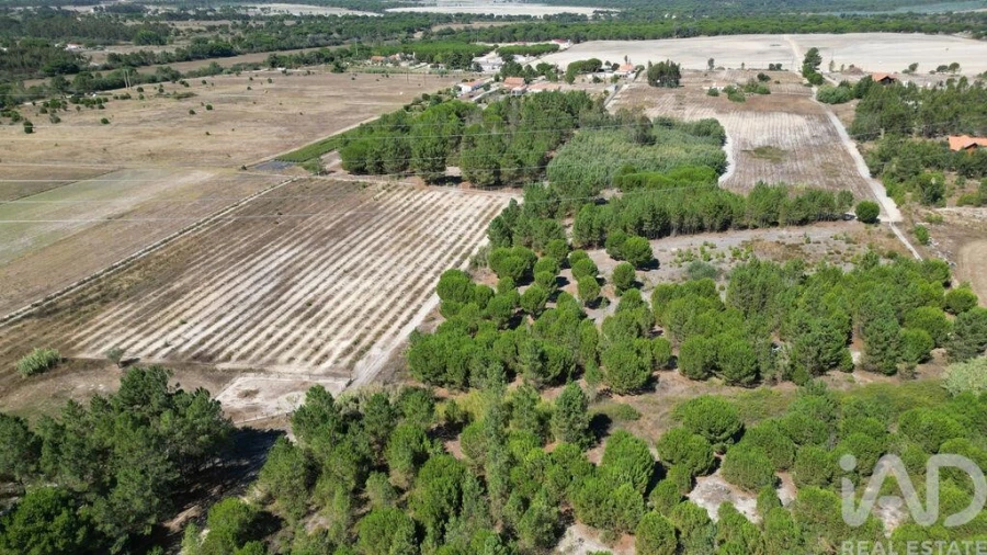 Terreno para Venda em Benavente Foto 10