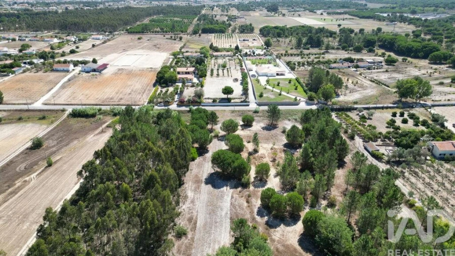 Terreno para Venda em Benavente Foto 5