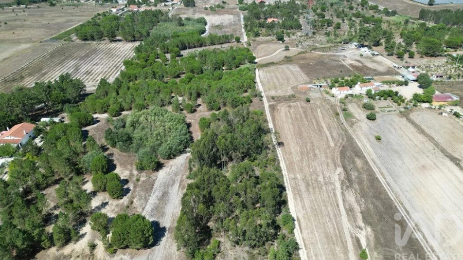 Terreno para Venda em Benavente Foto 19
