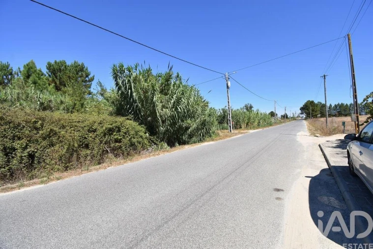 Terreno para Venda em Benavente Foto 24