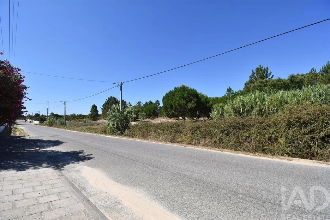 Terreno para Venda em Benavente Foto 23
