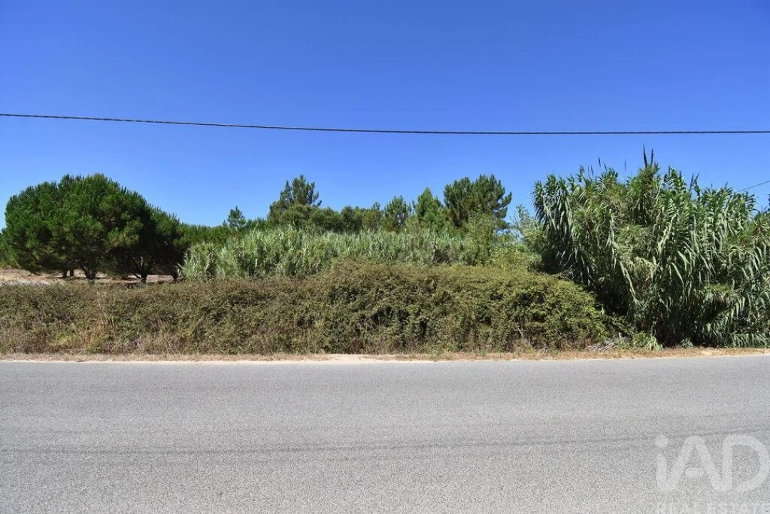 Terreno para Venda em Benavente Foto 22