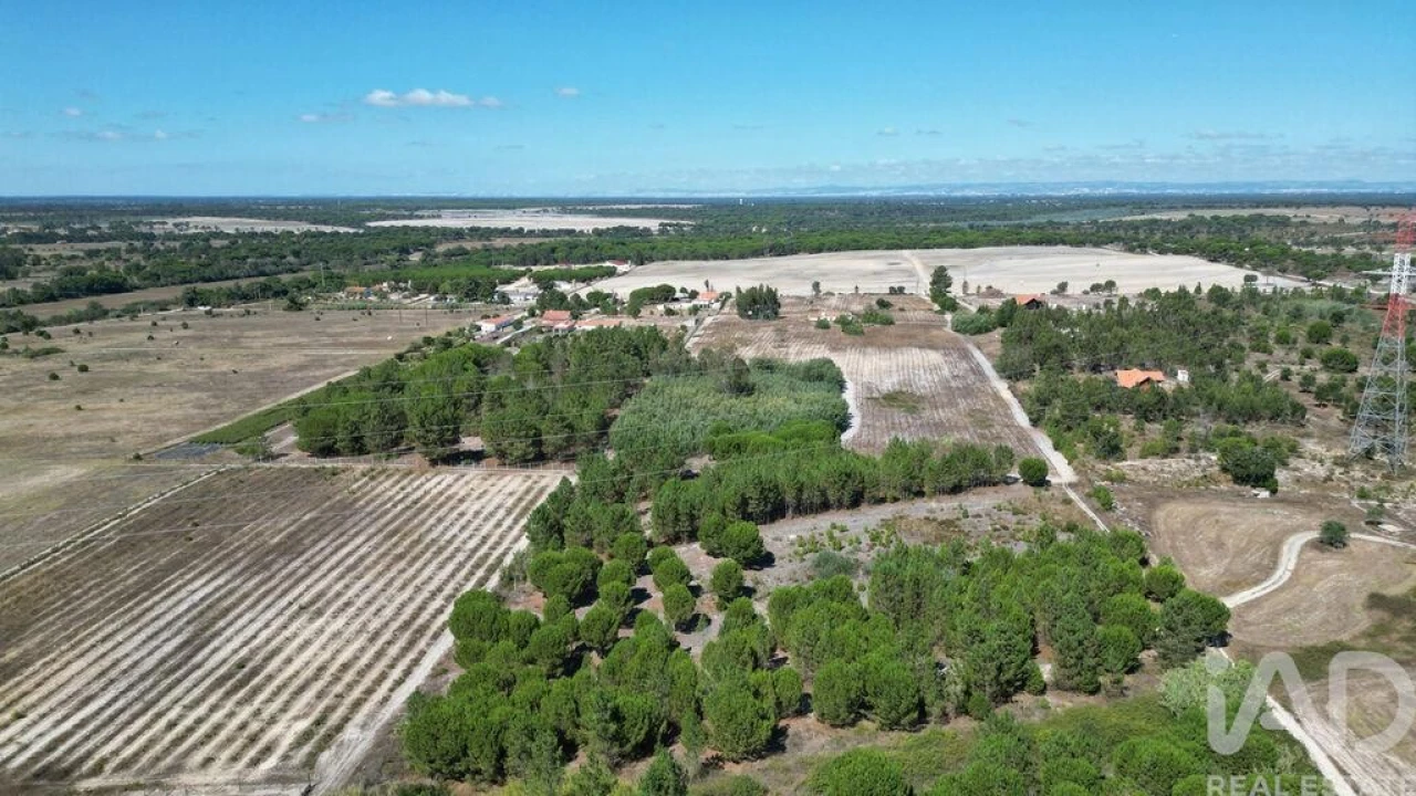 Terreno para Venda em Benavente Foto 13