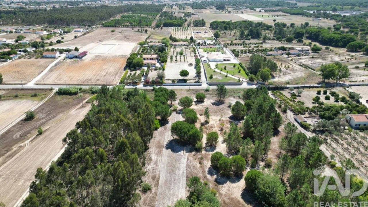 Terreno para Venda em Benavente Foto 5