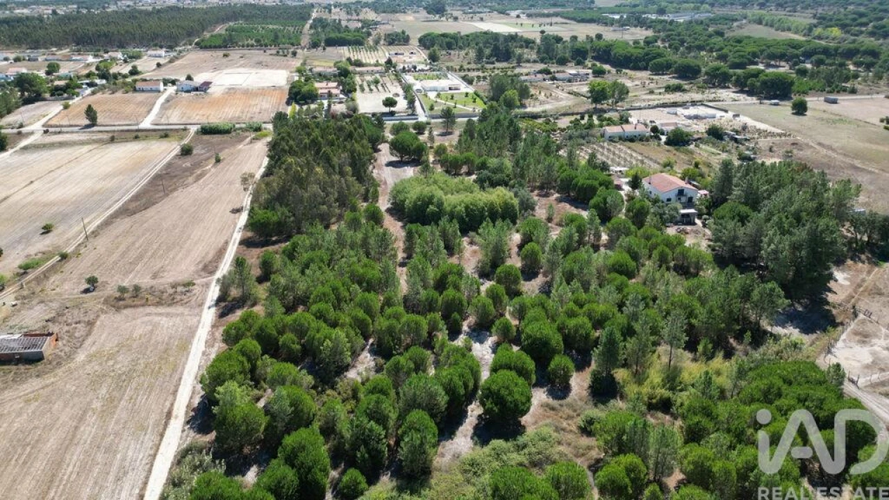Terreno para Venda em Benavente Foto 2