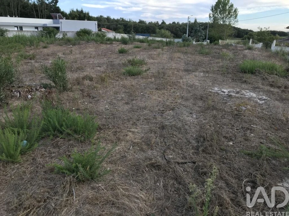 Terreno para Venda em Ovar, São João, Arada e São Vicente de Pereira Jusã Foto 18
