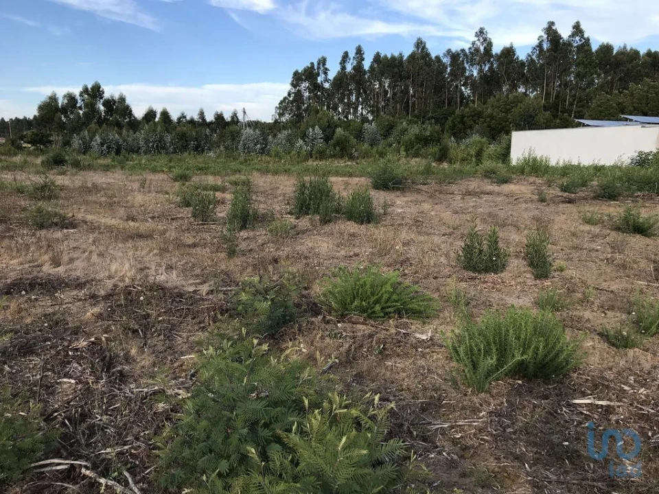 Terreno para Venda em Ovar, São João, Arada e São Vicente de Pereira Jusã Foto 6