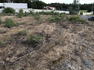 Terreno para Venda em Ovar, São João, Arada e São Vicente de Pereira Jusã