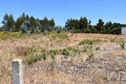 Terreno para Venda em Ovar, São João, Arada e São Vicente de Pereira Jusã