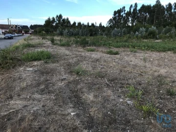 Terreno para Venda em Ovar, São João, Arada e São Vicente de Pereira Jusã