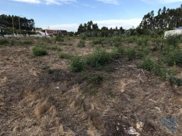 Terreno para Venda em Ovar, São João, Arada e São Vicente de Pereira Jusã