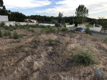 Terreno para Venda em Ovar, São João, Arada e São Vicente de Pereira Jusã