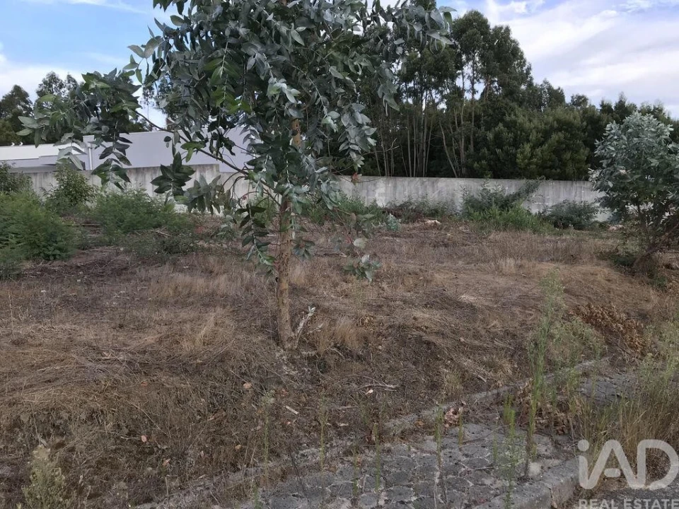 Terreno para Venda em Ovar, São João, Arada e São Vicente de Pereira Jusã Foto 21