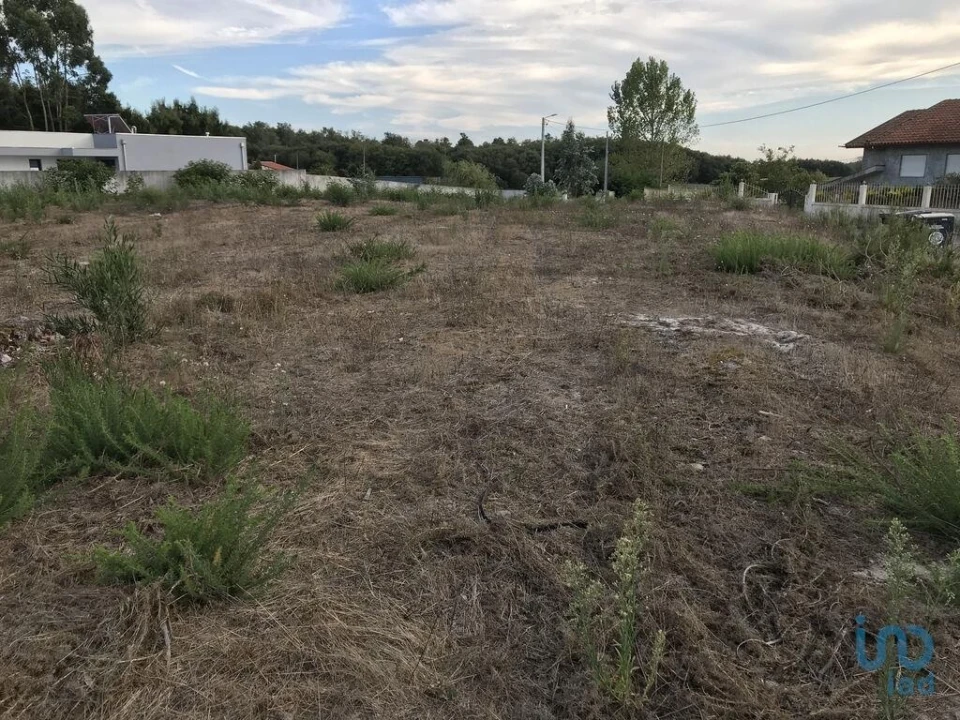 Terreno para Venda em Ovar, São João, Arada e São Vicente de Pereira Jusã Foto 15