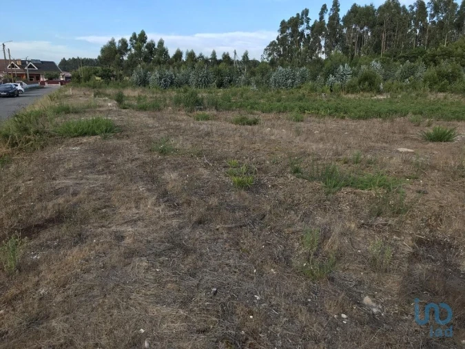 Terreno para Venda em Ovar, São João, Arada e São Vicente de Pereira Jusã Foto 8
