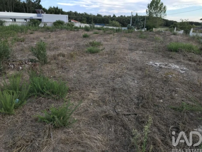 Terreno para Venda em Ovar, São João, Arada e São Vicente de Pereira Jusã Foto 18