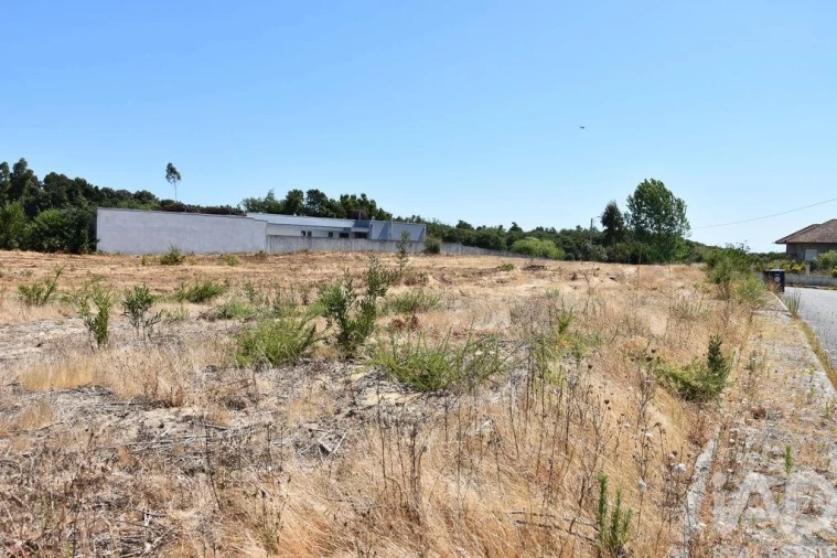 Terreno para Venda em Ovar, São João, Arada e São Vicente de Pereira Jusã Foto 27