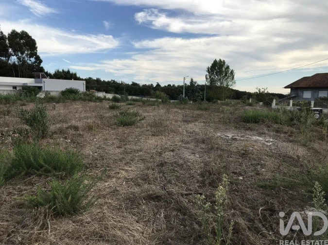 Terreno para Venda em Ovar, São João, Arada e São Vicente de Pereira Jusã Foto 17