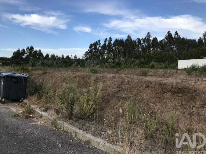Terreno para Venda em Ovar, São João, Arada e São Vicente de Pereira Jusã Foto 19