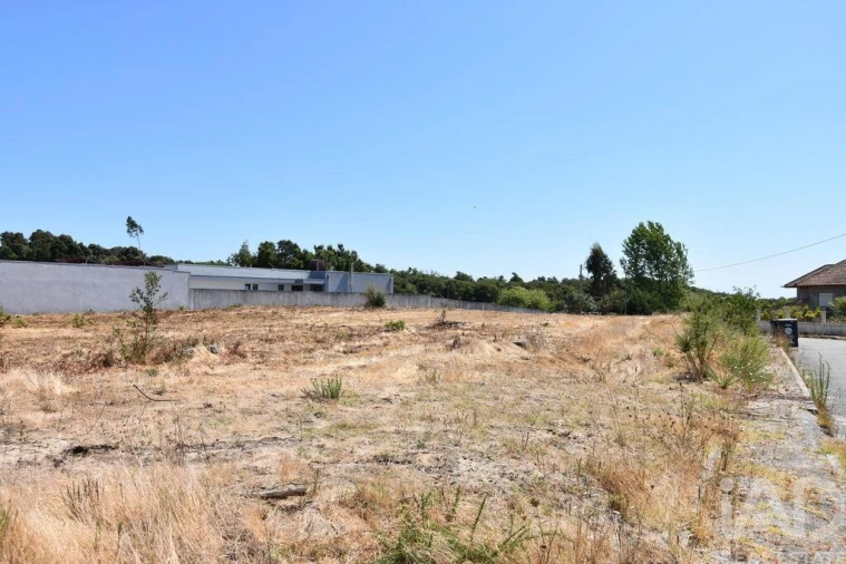 Terreno para Venda em Ovar, São João, Arada e São Vicente de Pereira Jusã Foto 23