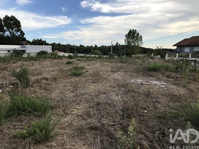Terreno para Venda em Ovar, São João, Arada e São Vicente de Pereira Jusã Foto 16