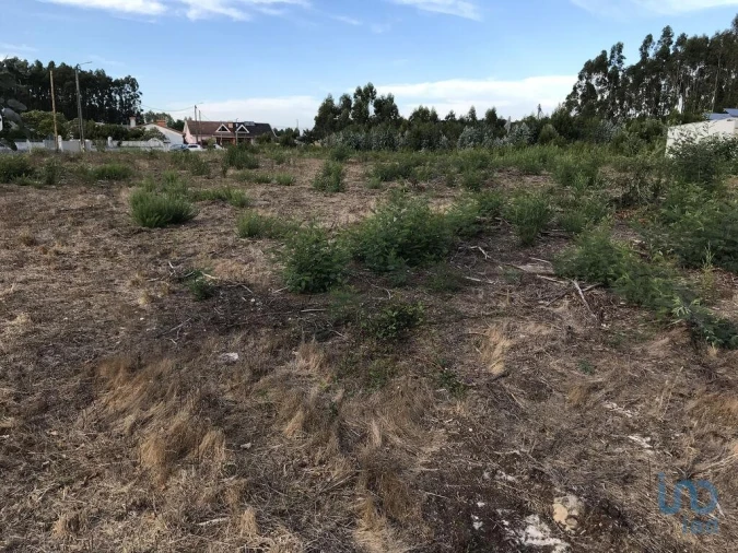 Terreno para Venda em Ovar, São João, Arada e São Vicente de Pereira Jusã Foto 2