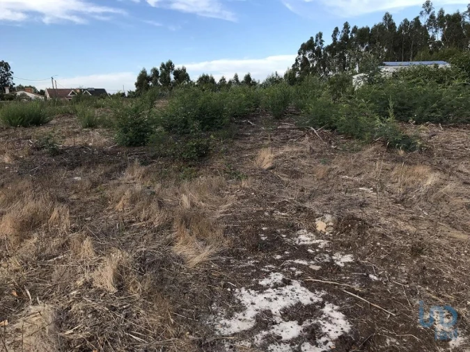 Terreno para Venda em Ovar, São João, Arada e São Vicente de Pereira Jusã Foto 4