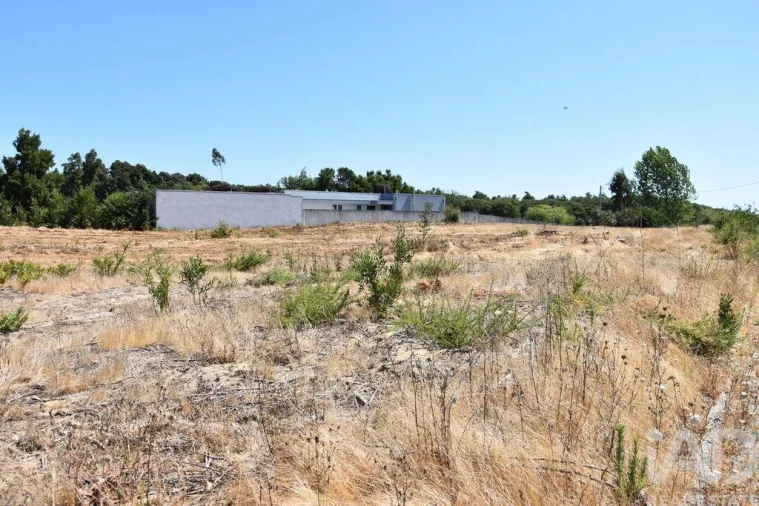 Terreno para Venda em Ovar, São João, Arada e São Vicente de Pereira Jusã Foto 24